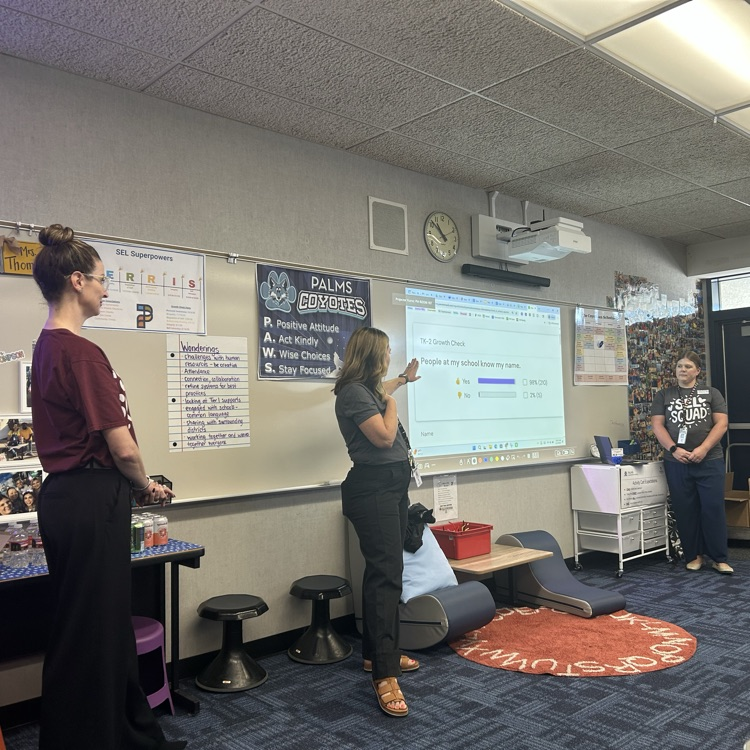 SEL Super Powers at PALMS 