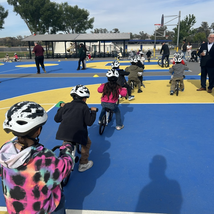 Railway All Kids Bike 