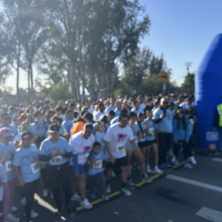 5k Color Fun Run 