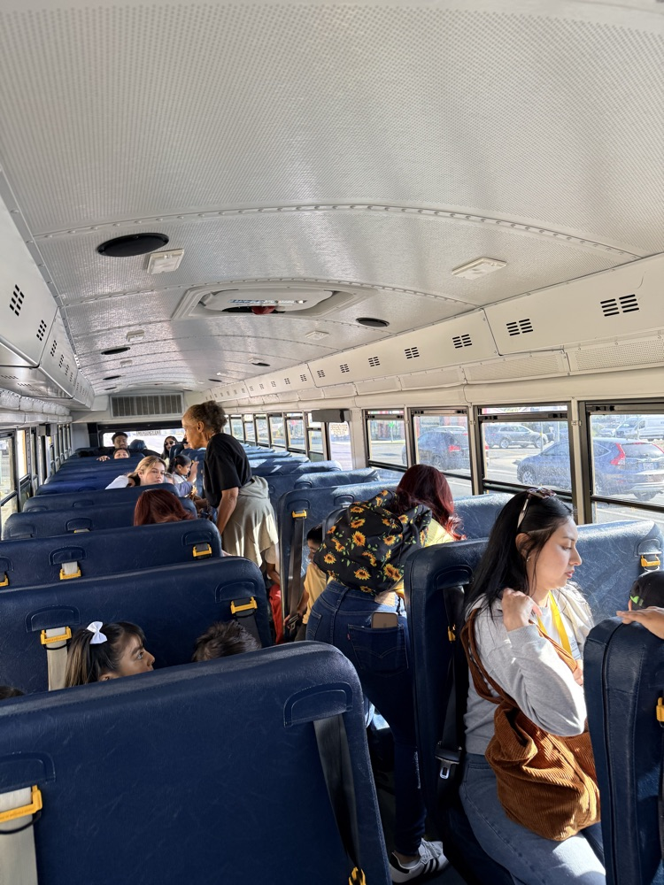 bus