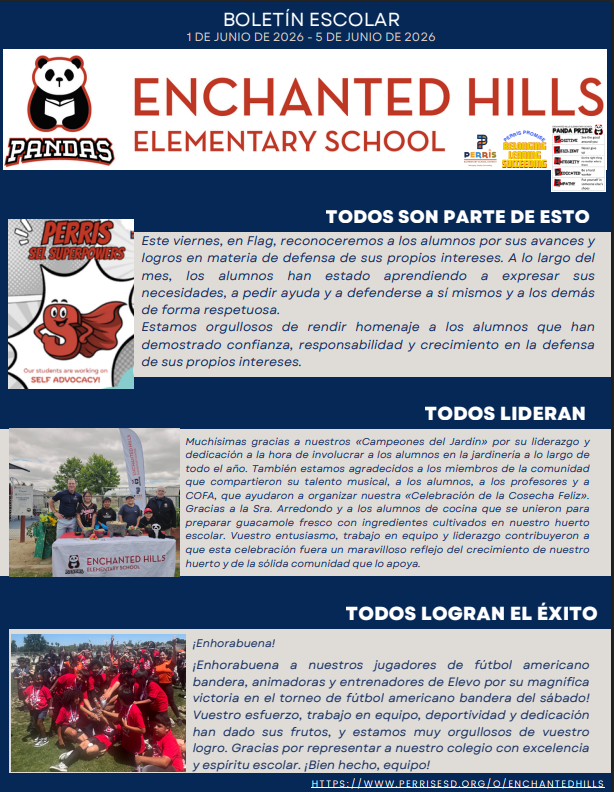 School Newsletter Page