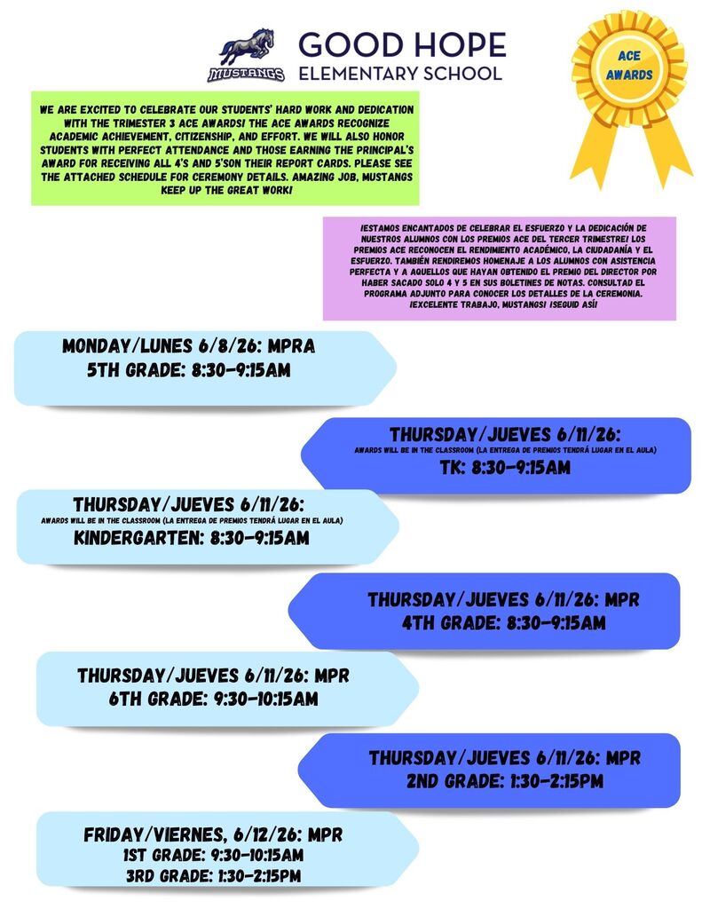 ace flyer