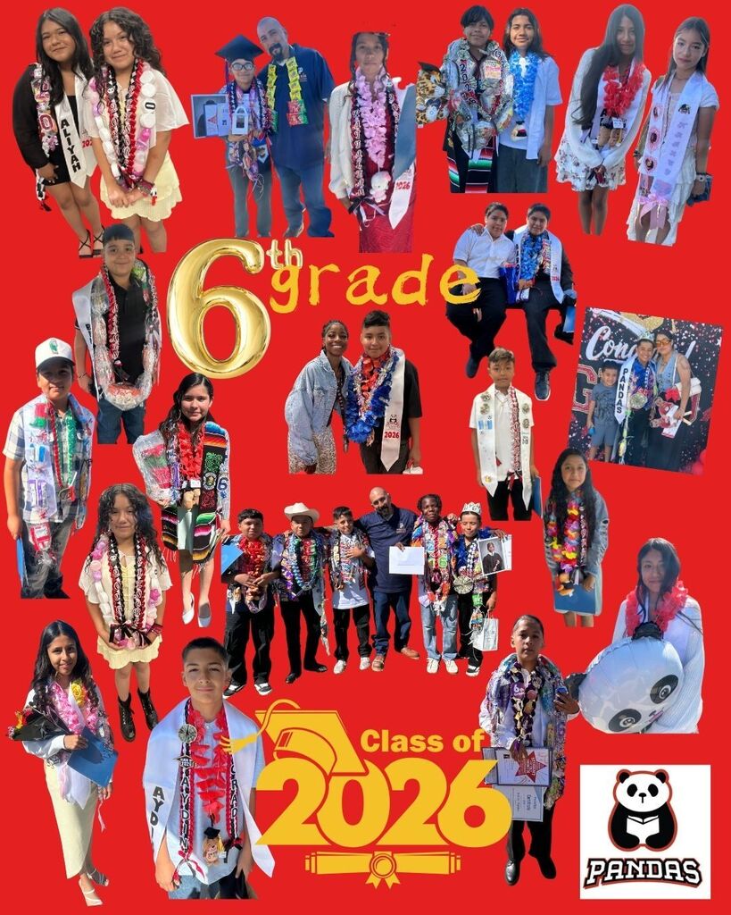 6th 2026