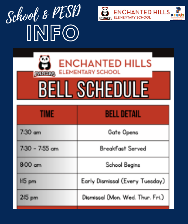 School Newsletter Page
