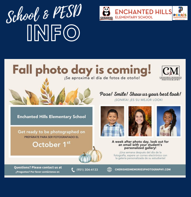 School Newsletter