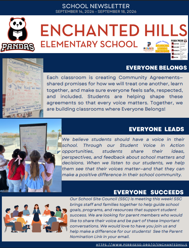 School Newsletter