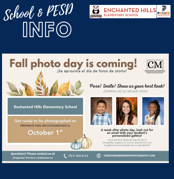School Newsletter