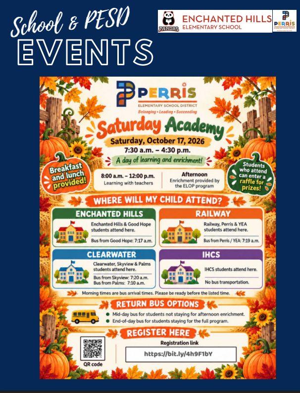 School Newsletter