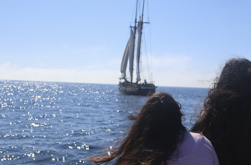 Students observing a sailboat