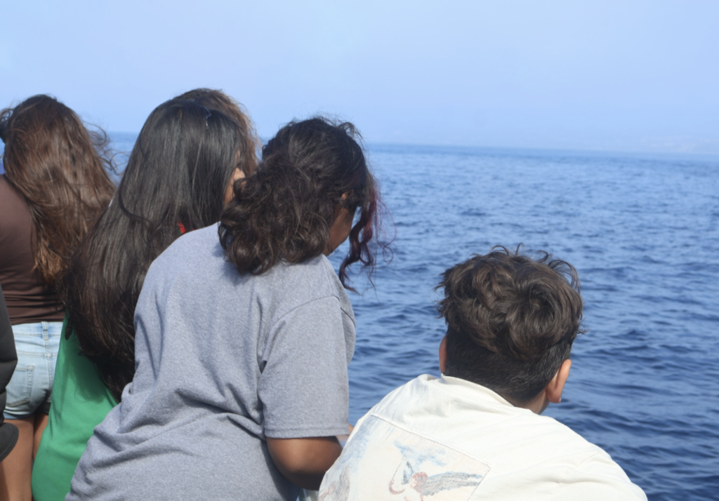 Students looking out into the ocean