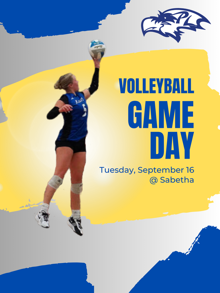 Volleyball Poster