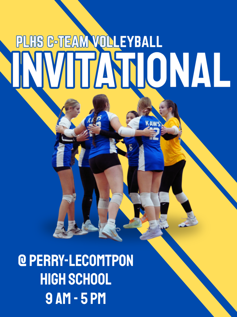 Volleyball Poster