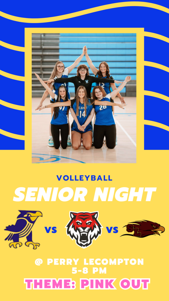 Volleyball Poster