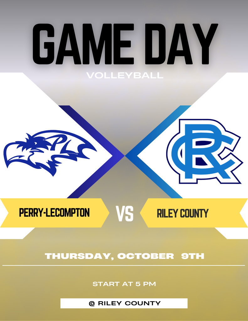 Volleyball Poster