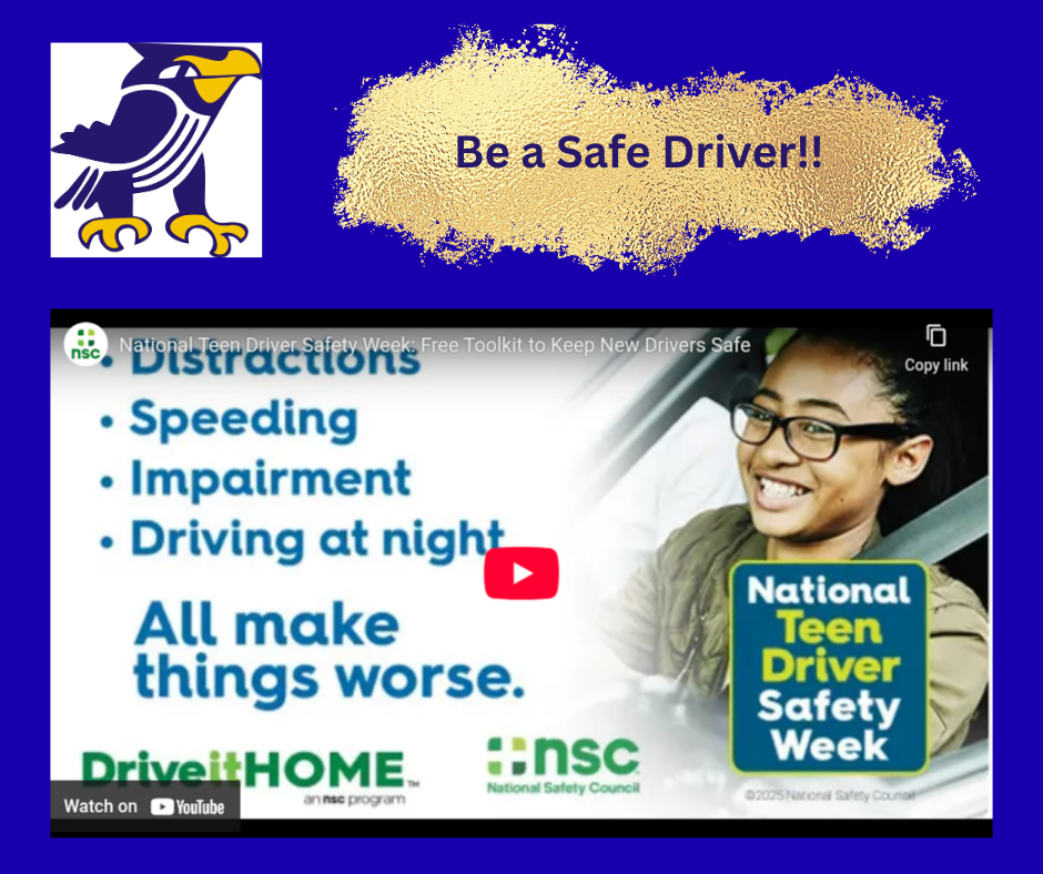 Video on Distractions, speeding, impaired driving