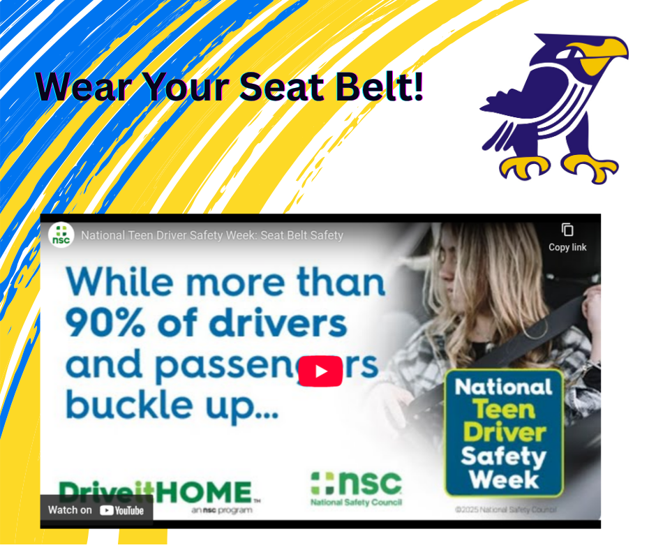 Video on Seat Belt safety