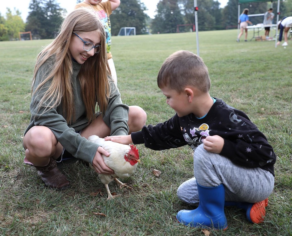 A little boy petting a chicken that a girl is holding. 