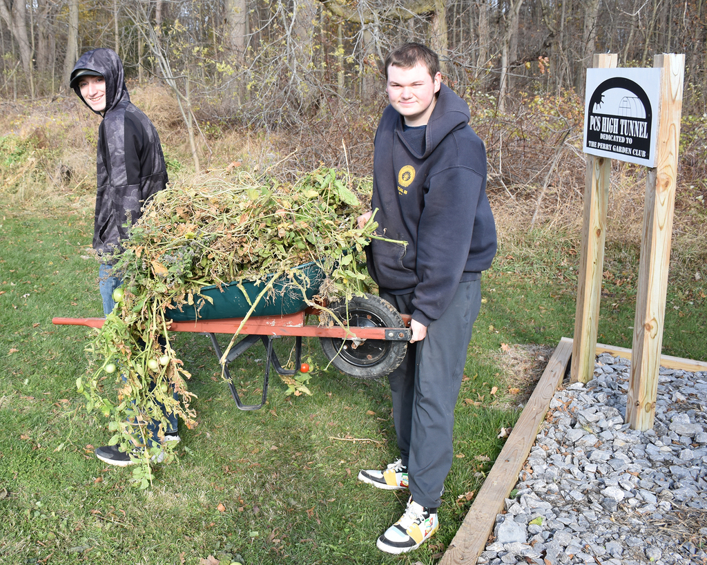 Two teenage boys carrying a wheelbarrow filled with weeds. 