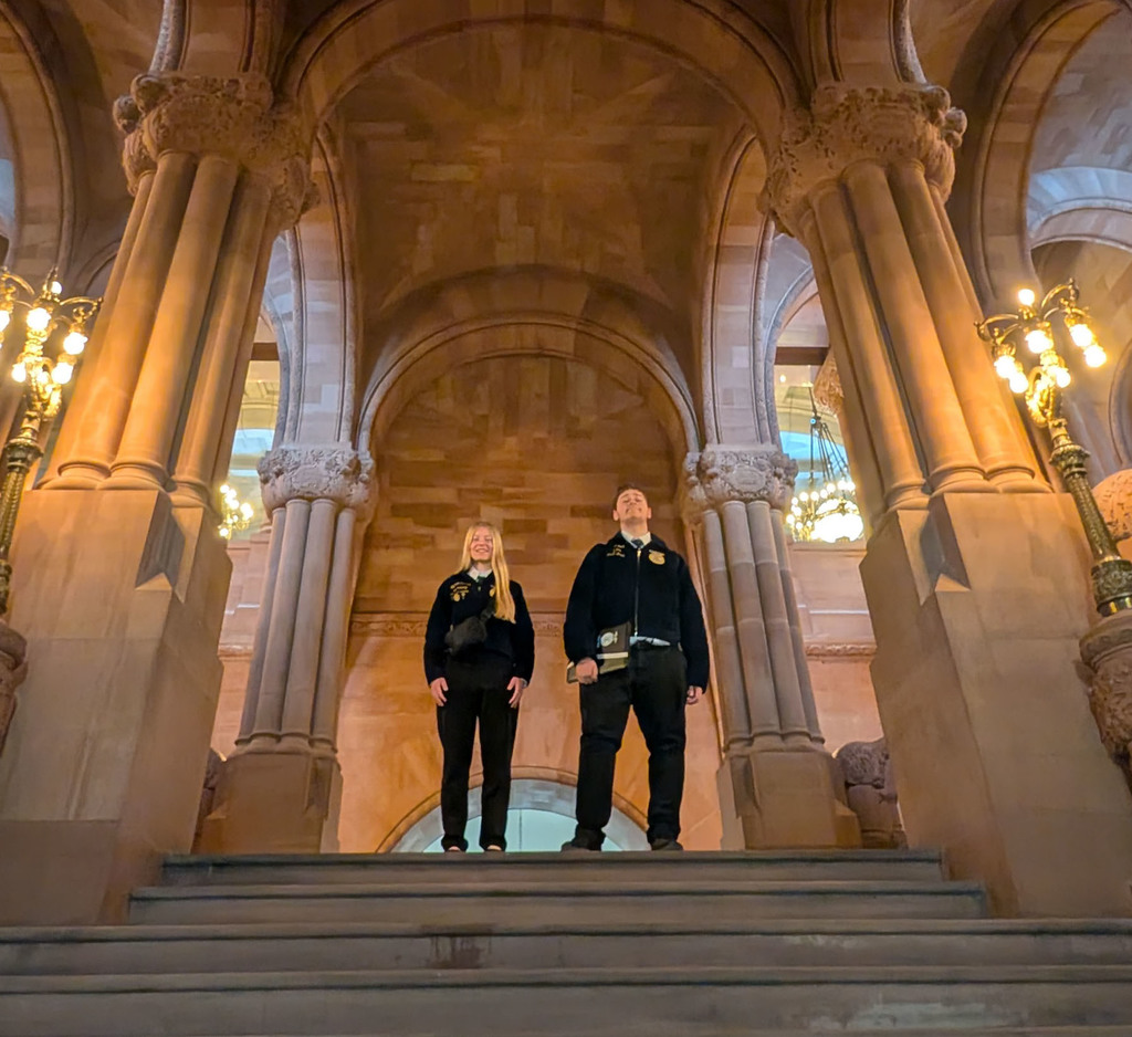 Two high school students posing in a state building in Albany. 