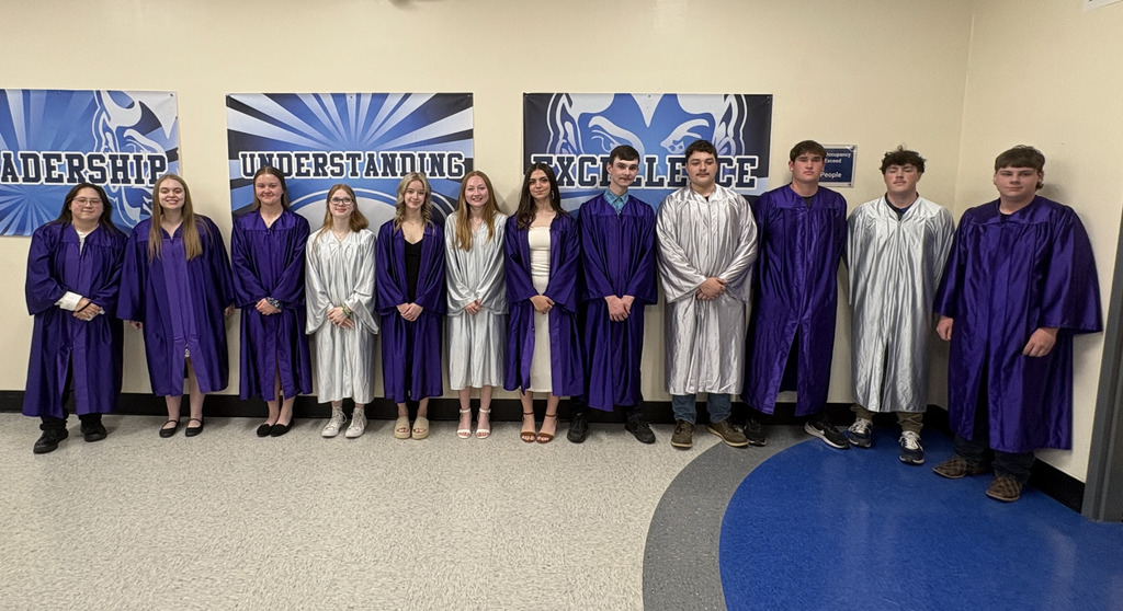 A group of high school students posing in graduation gowns. 