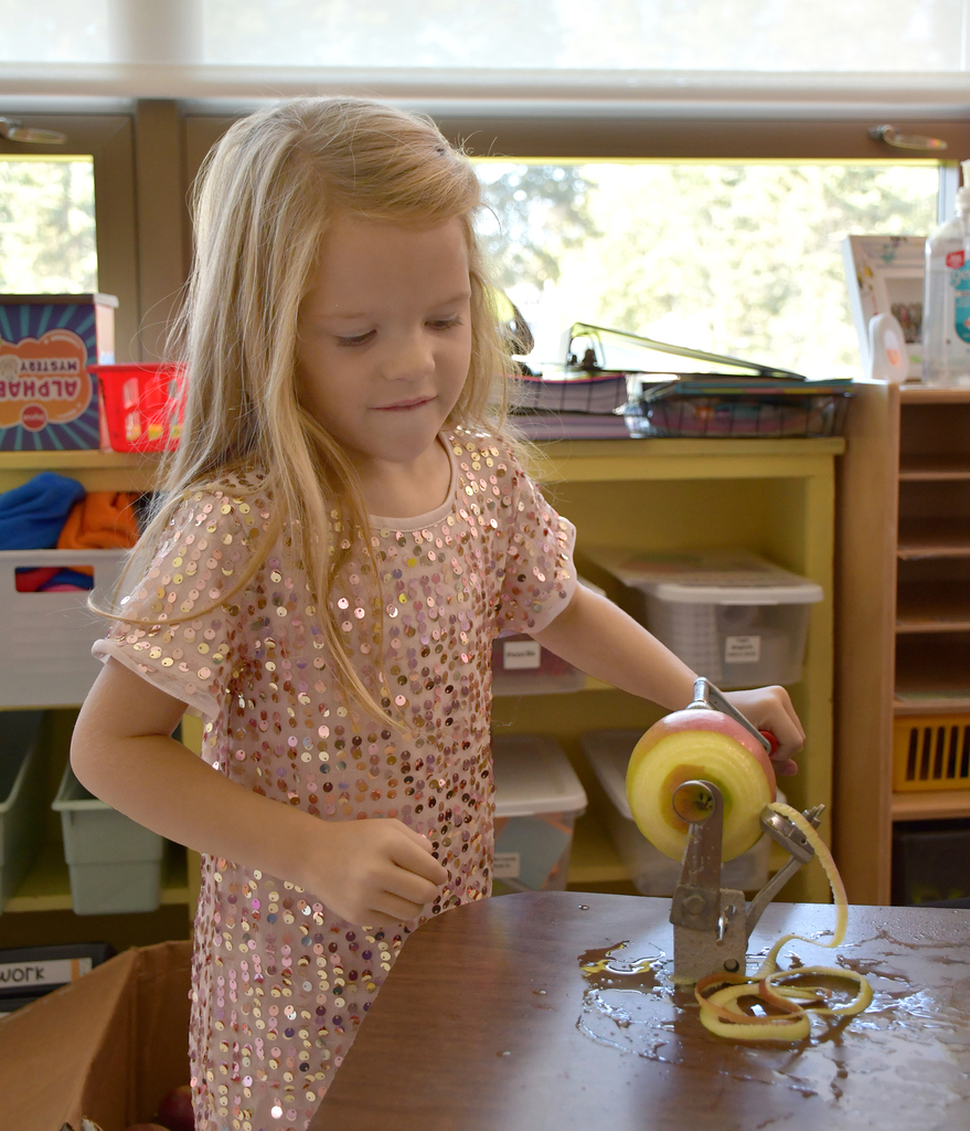 An elementary student peeling apples. 