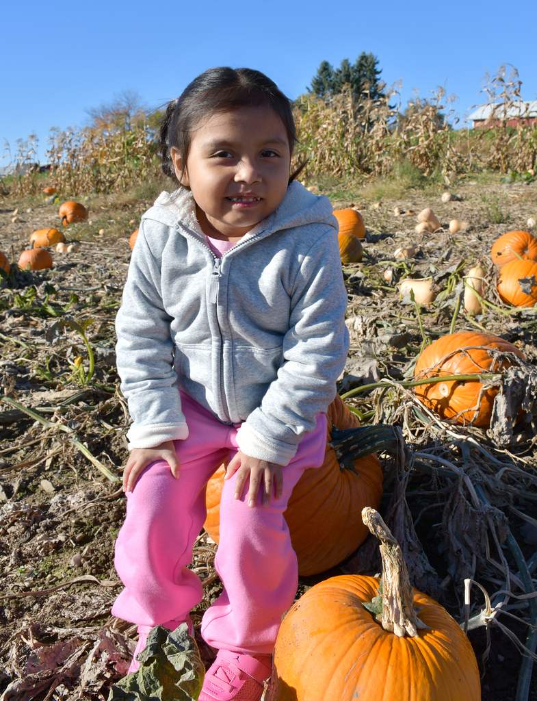 A young child sitting on a pumpkin in a pumpkin patch. 