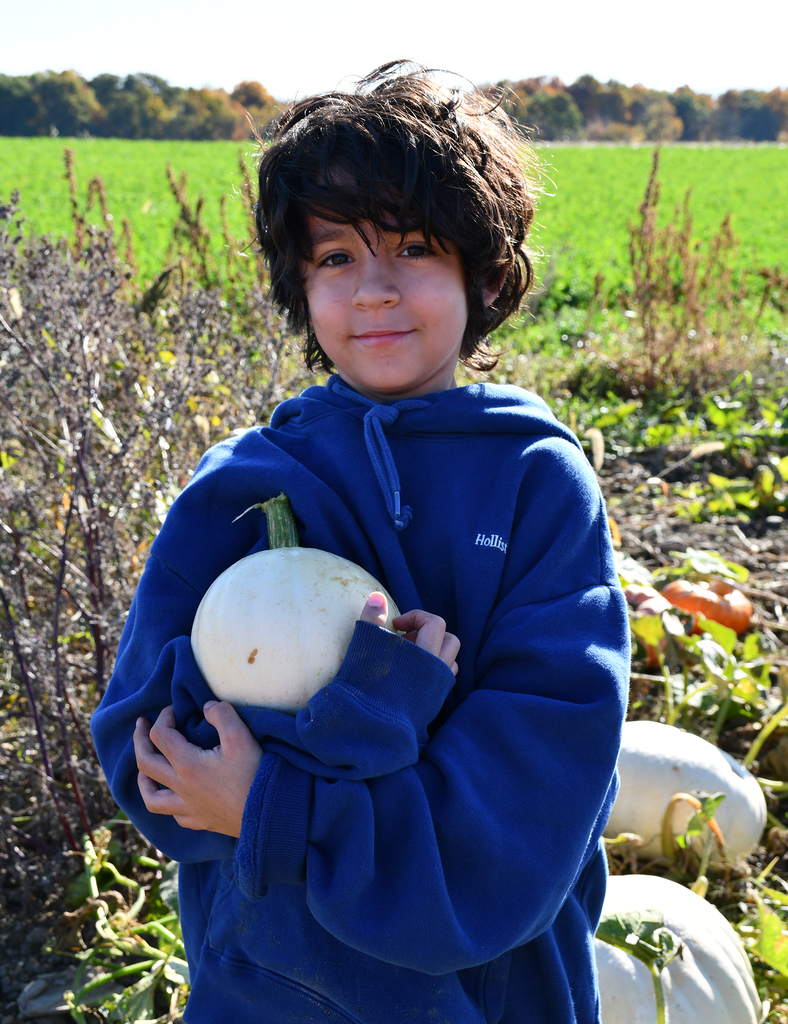 A student holding a white pumpkin while standing in a pumpkin patch.