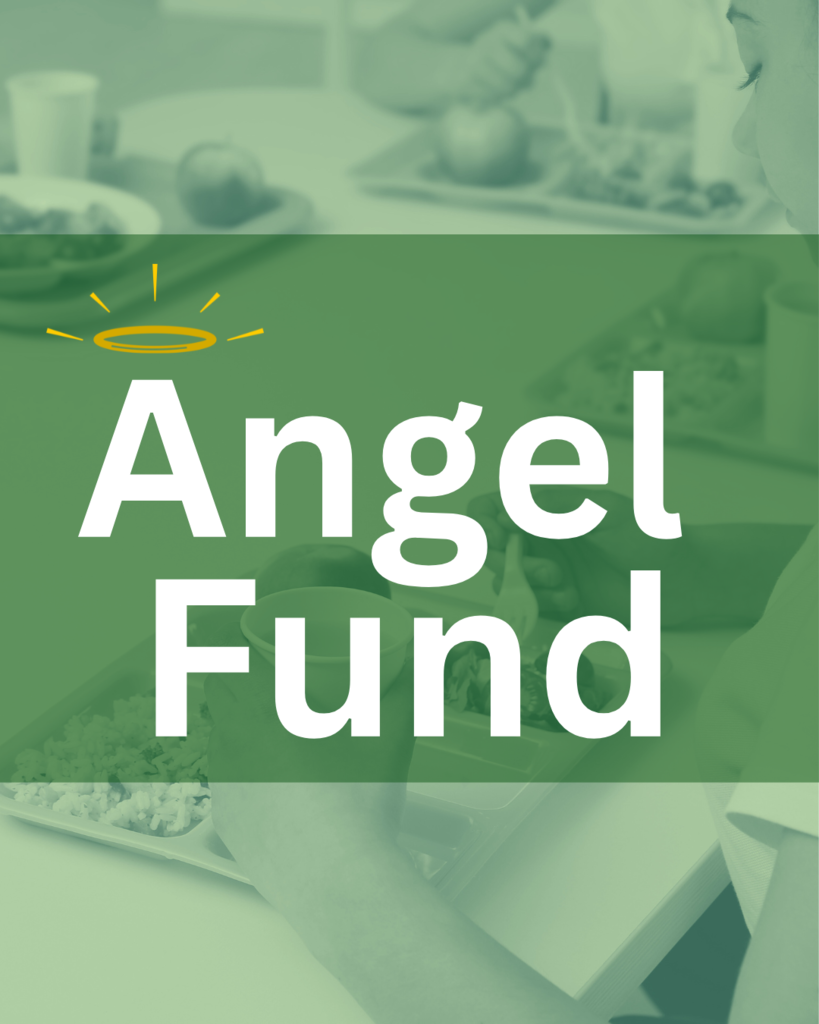 Angel Fund  Graphic