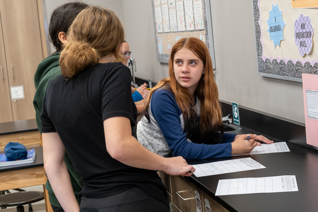 A group of students discuss problems on a worksheet.