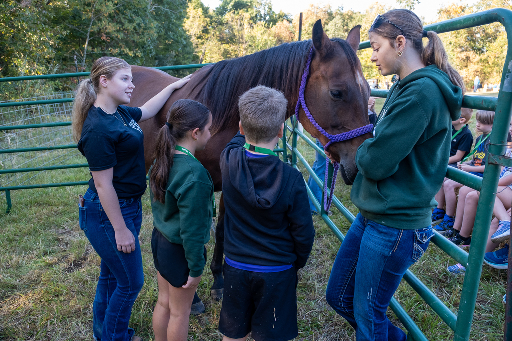 High school ag students help elementary students pet a horse.