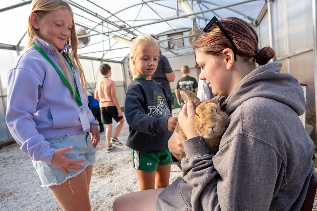 Younger students pet a rabbit behind held by an older student.