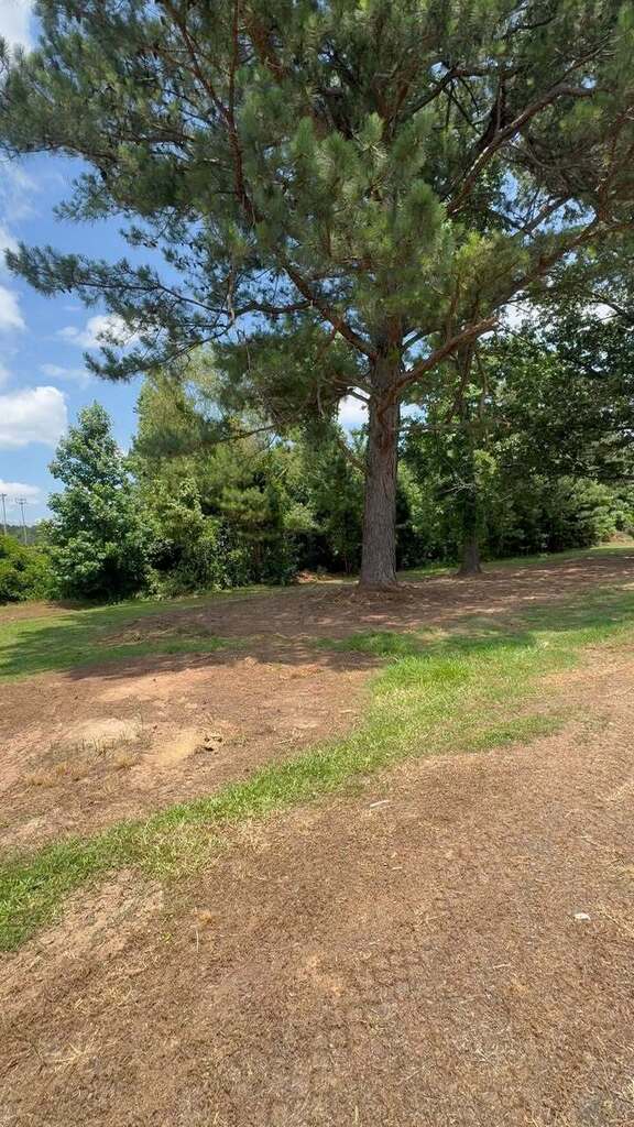 This is a picture of a scenic trail 