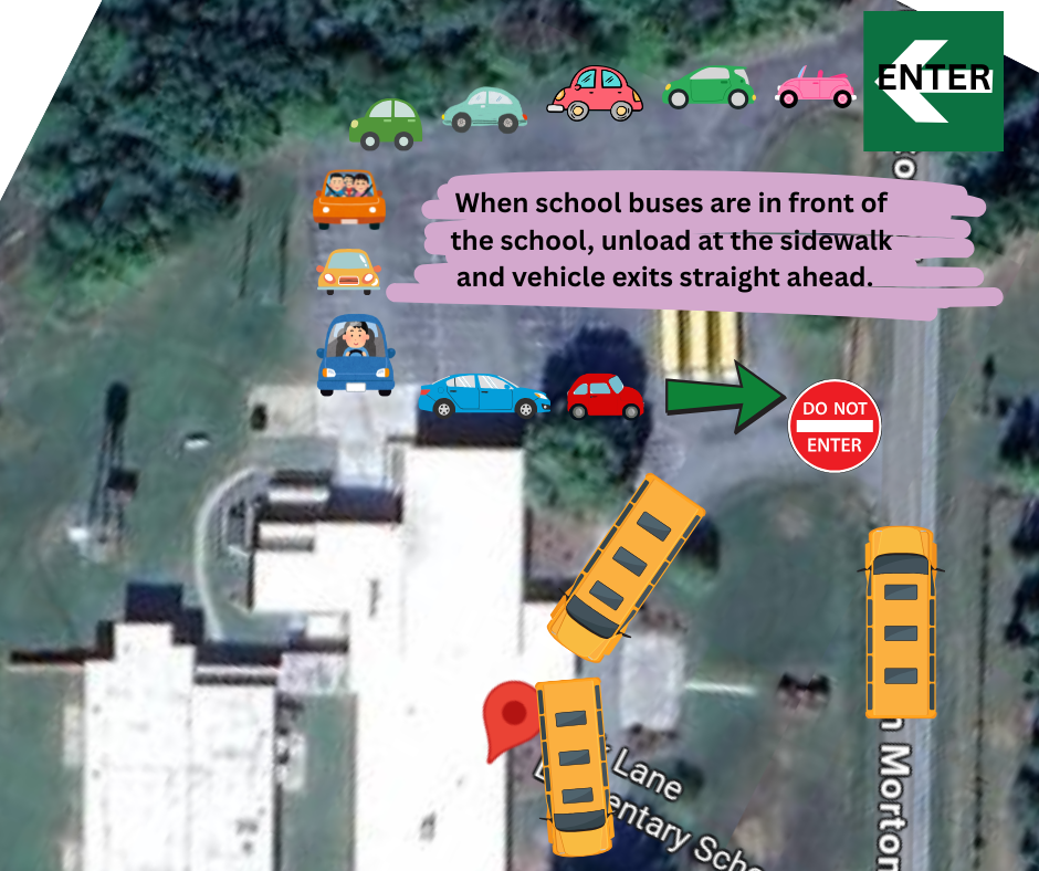 Buses in front