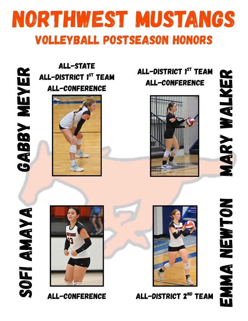 Volleyball Postseason Honors
