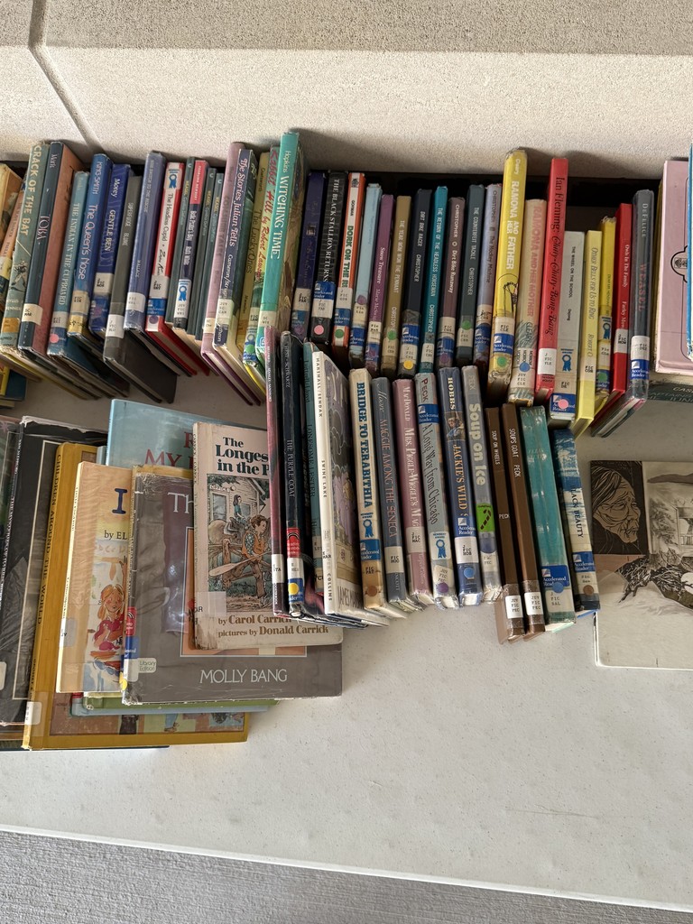junior fiction