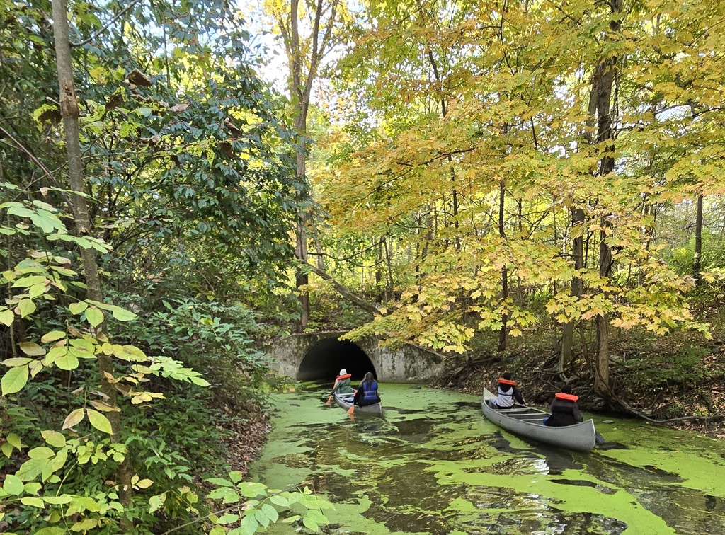 camp palmer  - canoe