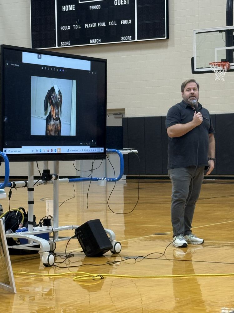 Sammy the wonder dachshund