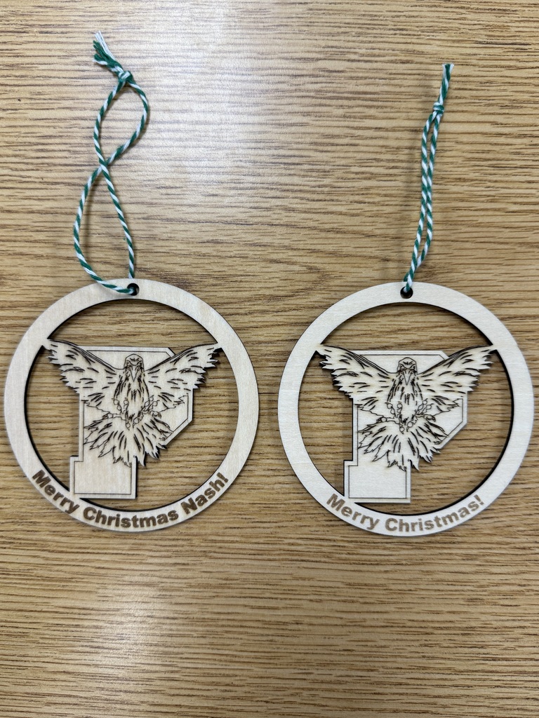 STEAM LAB Fundraising Ornaments