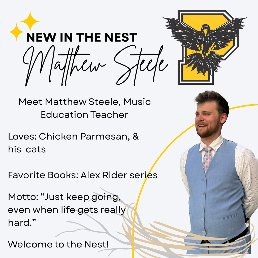 Mr. STeele