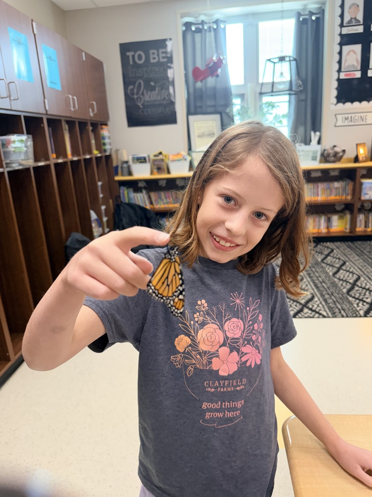 3rd Butterfly Release