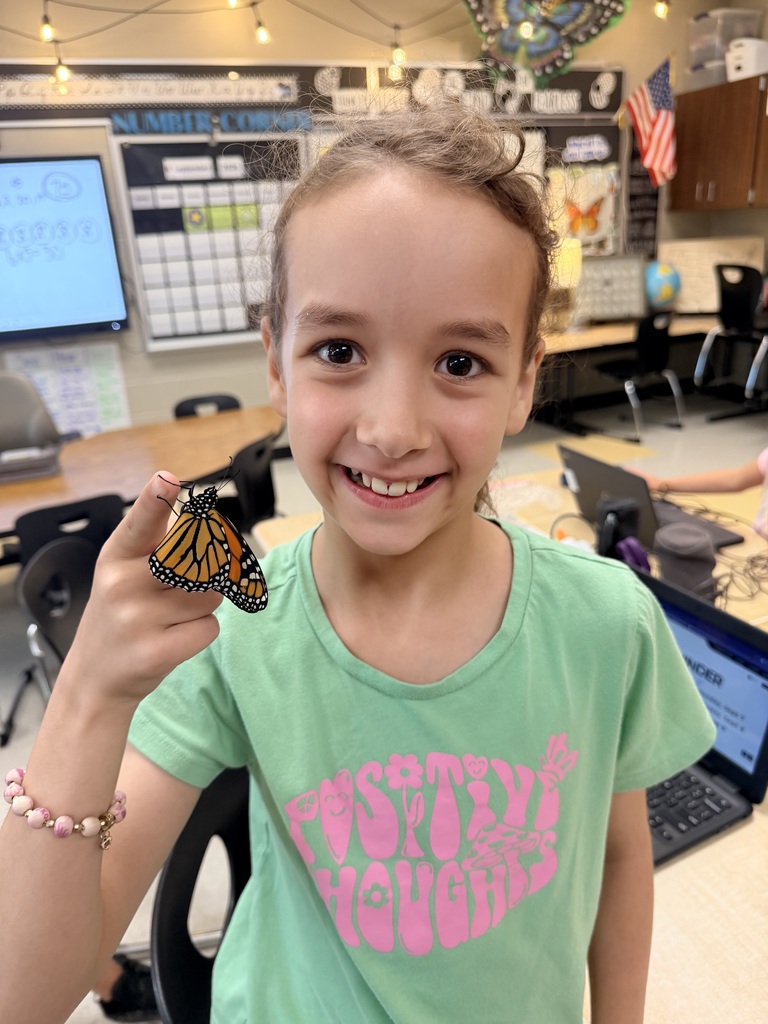 3rd Butterfly Release