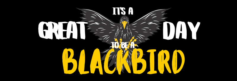 Great Day to be a Blackbird