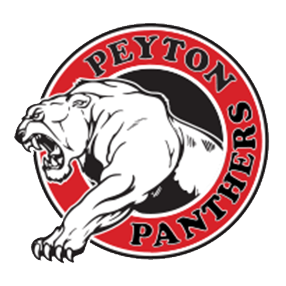 Peyton School District 