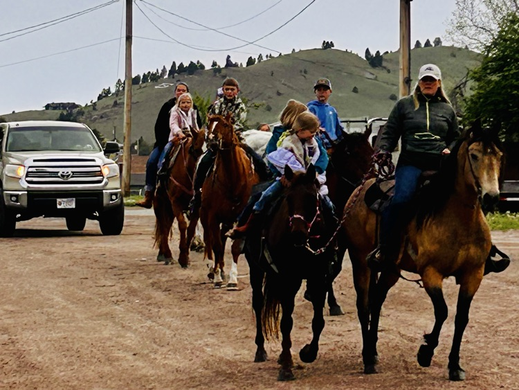 horses