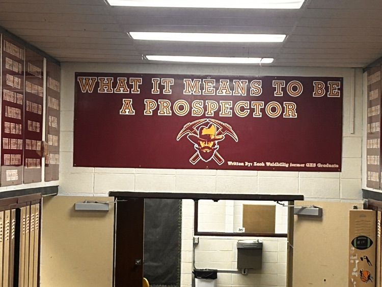prospector