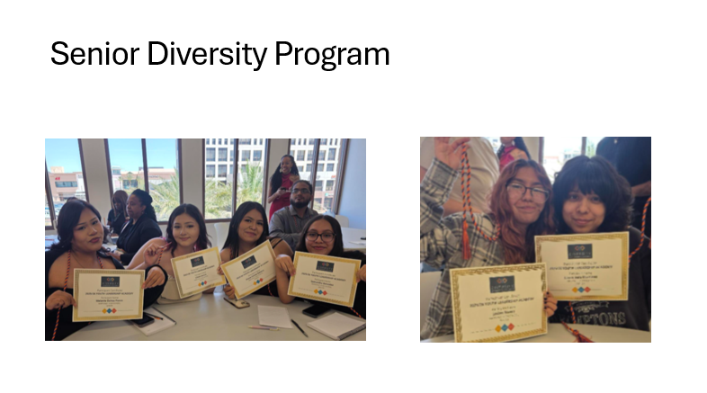 Seniors Diversity Program