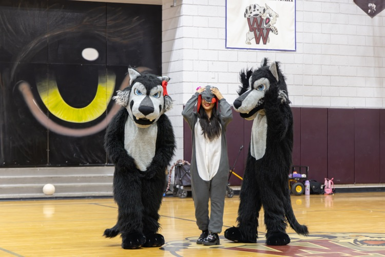 Wilson Assembly