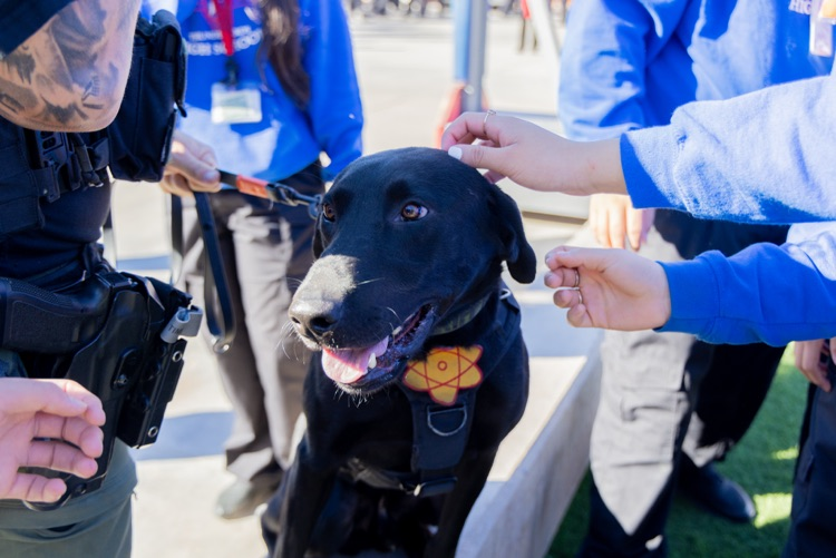 Franklin Red Ribbon Day