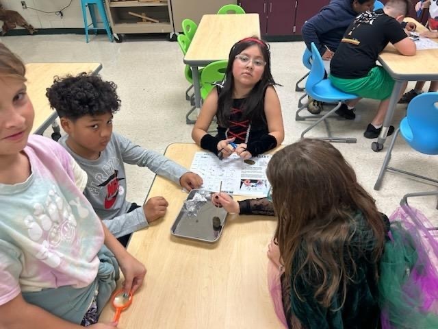 Owl pellets with 4th grade!