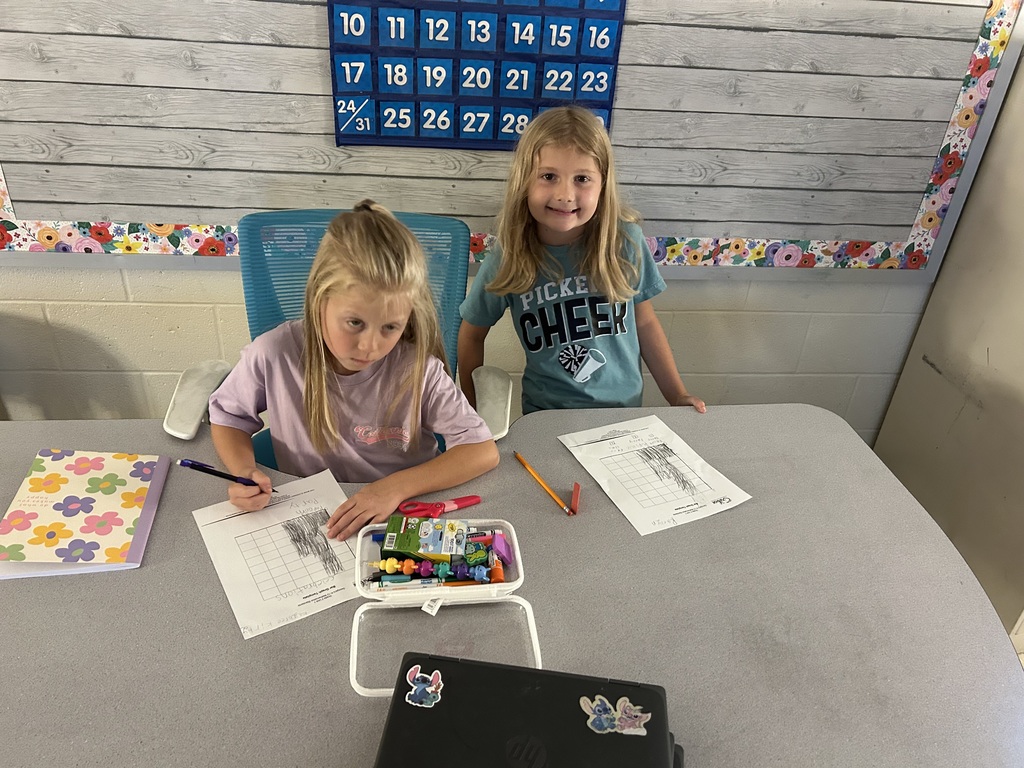 Graphing in Mrs. Ellis' second grade classroom.